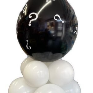 Gender Reveal Balloon